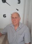 Знакомства с мужчинами - Петер, 69 лет, Ингольштадт